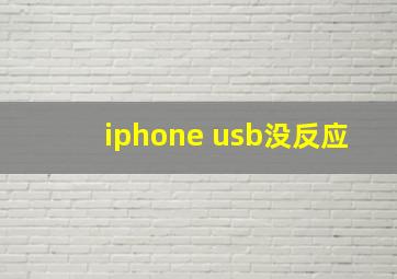 iphone usb没反应